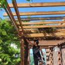 노블린카 이미지