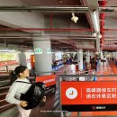 동문문화거리 | 선전(심천)여행 첫날 | 덕다운 벗고 맞이한 봄, 동문에서 완성된 1일차 일정