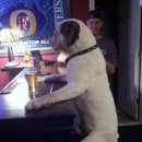 멍이랑 양이랑 이미지