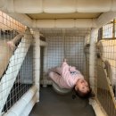 성주로 | 라라코스트 성주점 놀이방 레스토랑 내돈내산 음식맛 솔직후기