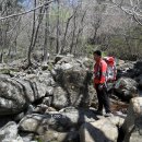 딱!여그서 이미지