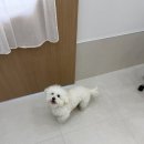 요뜨스타일