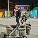 동산동물병원 | 폼포라 N 웨건 2년 사용후기 : 다둥이 육아 필수템