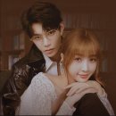 은은하게 이미지