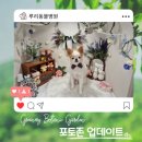 루리동물병원 이미지