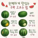 온세병원 | 2025.8