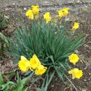 분지농장 이미지