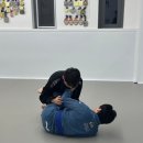 장성초등학교 - 3858 | 운동 초보의 대변신! 장성초등학교 근처 주짓수 도장에서 스트레스 타파한 후기