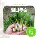 제천약초뜰 이미지