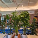 고흥읍 터미널길 이미지