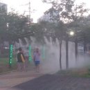 경서동 쑥공원 이미지