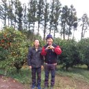 오세열농장 이미지