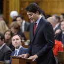 메이마라 이미지