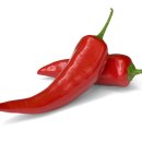 좋은야채 이미지