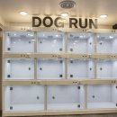 영진필름난방 이미지