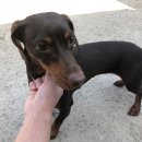 정왕대로 이미지