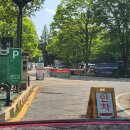 서울숲10 | [W25] 시노츠필름과 함께한 서울숲 야외스냅촬영후기!📸