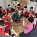 화개초병설유치원 이미지