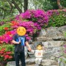 대한수산 | 봄이로구나 [전주/대한수산]내돈내산후기