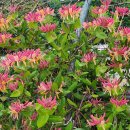 담양 달빛 스테이 이미지