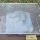 비봉화석지 이미지