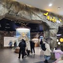 황금박쥐생태관 옆 이미지