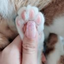 무디네일&래쉬