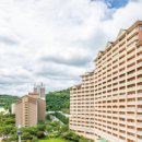 펫앤쇼핑 이미지