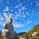 은행나무로(송현동) 이미지