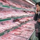 화성양돈2 이미지