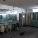 일동하와이 이미지