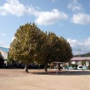 운동장화장실(서쪽) 이미지