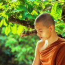 차신 이미지