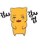 보건정문약국 이미지