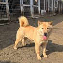 상미네 이미지