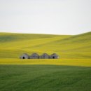 가야대학교 이미지