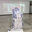 배리어프리전시-널사랑해 이미지