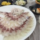 민락동 공영주차장 뒤 활어직판장 앞 | 부산 민락어민활어직판장에서 직접 고른 싱싱한 활어회 포장 후기