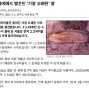 BBC 뉴스 이미지