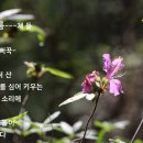 상마