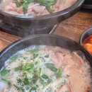 태화강맛집 | 울산 태화강 국밥 맛집 "대밭골 돼지국밥" 솔직 후기