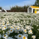 카페오늘 이미지