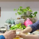 내미농박 이미지