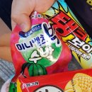 호돌이분식