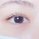 신월동184 이미지