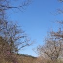 라온 - 서산시 율지3로 18 | 라온
