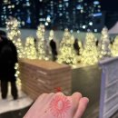 강아지마을 | 부산 크리스마스 빌리지 센텀 영화의 전당 산타마을 후기 및 꿀팁(강아지 동반 가능)