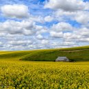 팔루스 폭포와 팔루스 평원 이미지