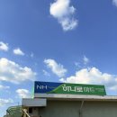 충주농협 노은지점 | 여름휴가, 충주 문성 휴양림 3박 후기