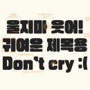 릭스(Rix) 이미지